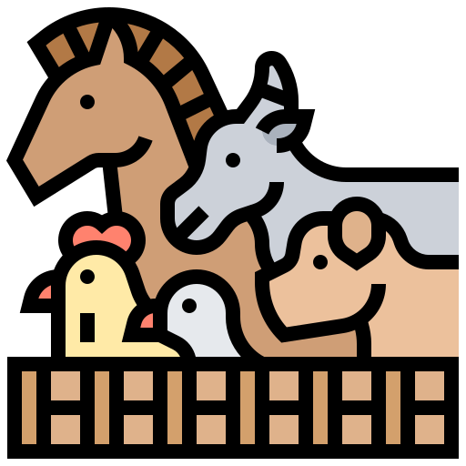 Zvířata