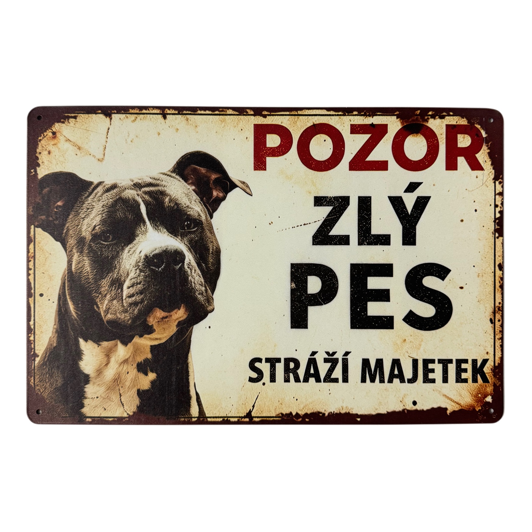 Hliníková dekorativní cedule - Pozor zlý pes, 20x30cm