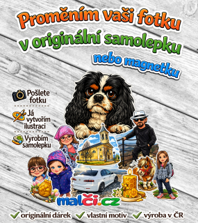 Samolepka/magnetka/tetovačka z fotografie